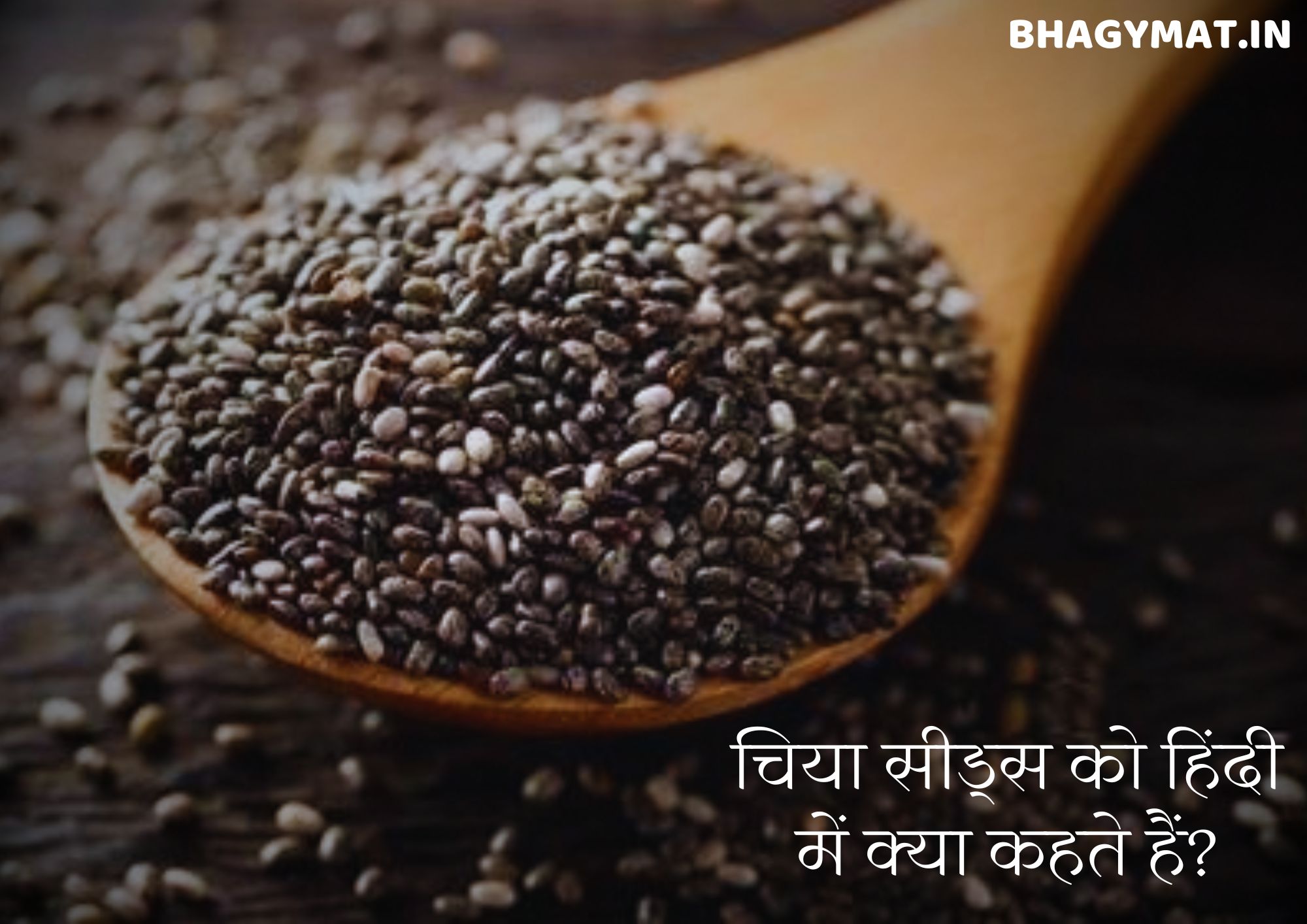 चिया सीड्स को हिंदी में क्या कहते हैं (Chia Seeds In Hindi Name)