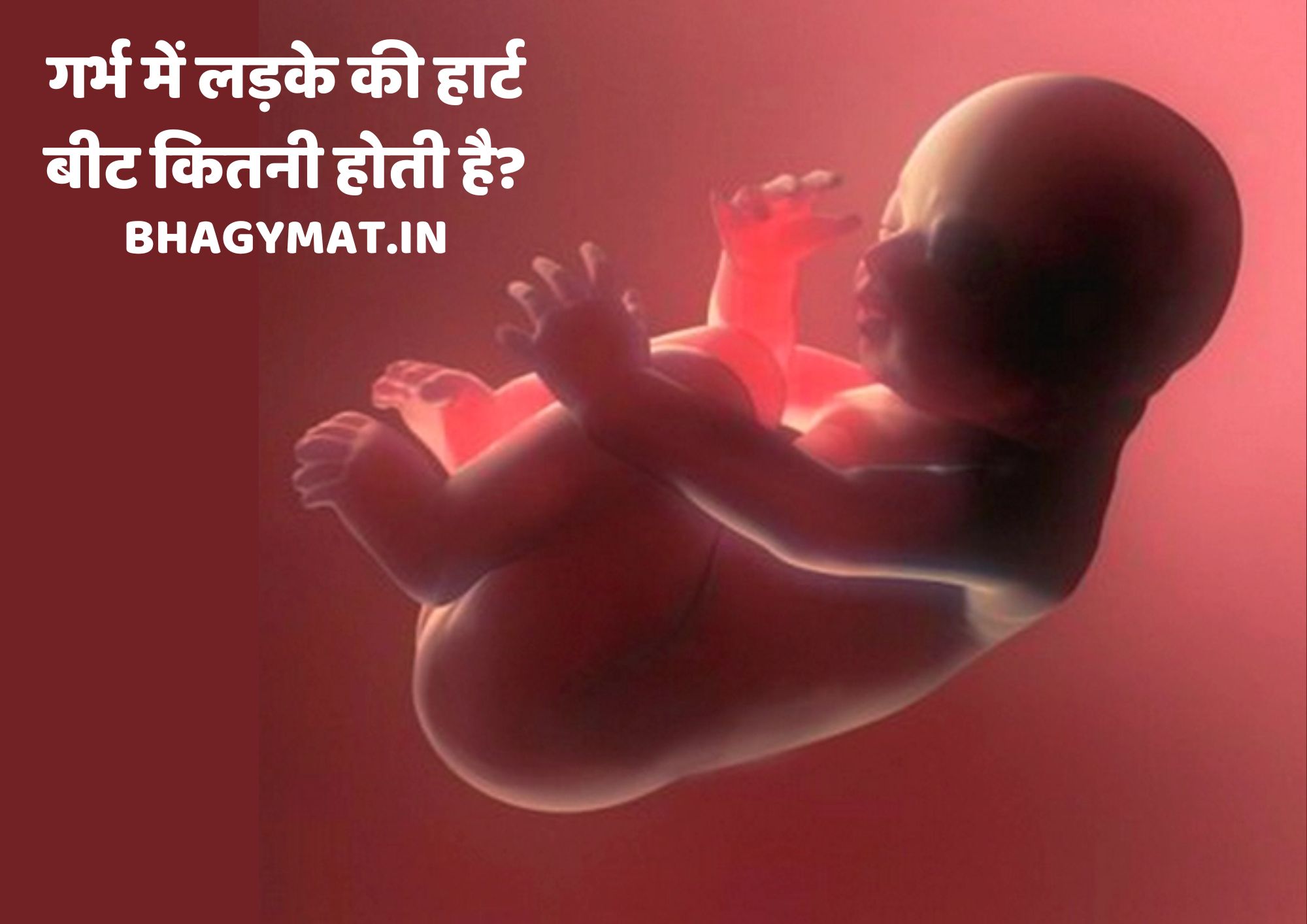 गर्भ में लड़के की हार्ट बीट कितनी होती है, गर्भ में लड़के की धड़कन कितनी होती है इन हिंदी?