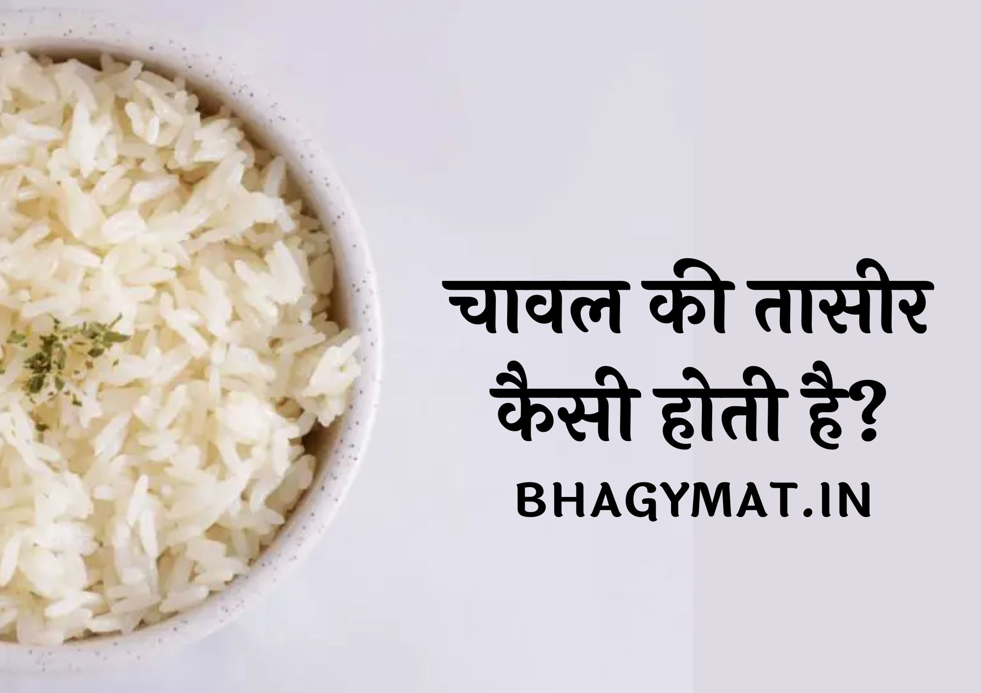 चावल की तासीर कैसी होती है (Chawal Ki Taseer Kaisi Hoti Hai)